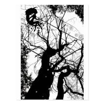 FAIRY WEBBY TREE BUBBLES B&W POST CARDS