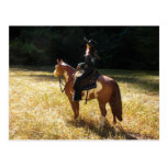 Faith and Cowboy Postcard