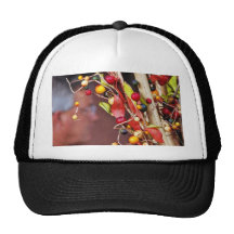 Fake Berries Mesh Hat