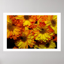 FALL BURSTING PRINT