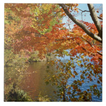 Fall Colours in Georgia Tile