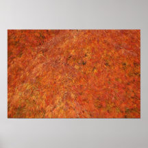 Fall colours posters