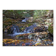 Fall Falls at Fires Creek Cards
