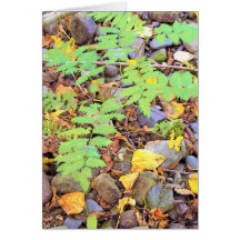 fall floor cards