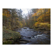 Fall Foliage on the Black River - Scenic NJ Photo Art