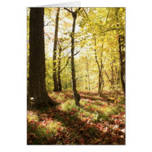 Fall Forest Floor Greeting Cards