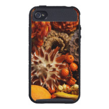 Fall Harvest Collage iPhone 4/4S Cases