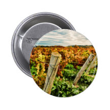 Fall in the Vineyard Sky Button