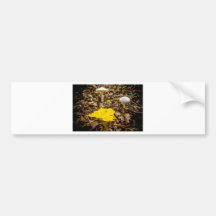 Fall Leaf and Mushrooms Bumper Sticker
