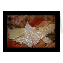 Fall Leaf Cards