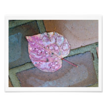 Fall Leaf Photo Print