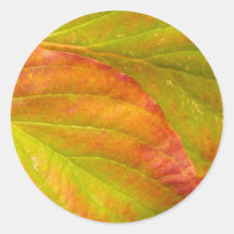 Fall Leaves Sticker