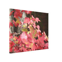 Fall Maple Leaves Gallery Wrap Canvas