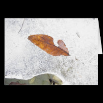 Fall on Hold Greeting Card cards