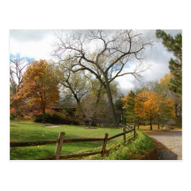 Fall Postcards