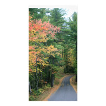 Fall Road Custom Photo Card