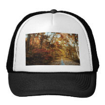 Fall Road Hat