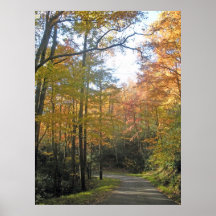 Fall Roadway near Gatlinburg TN Posters