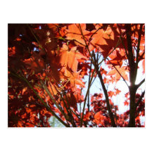 Fall save the date post card