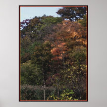 Fall Scene 1 Poster