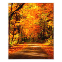 fall scene photo