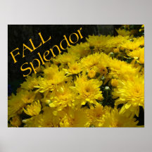 Fall Splendour Poster