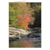 Fall Tree Card