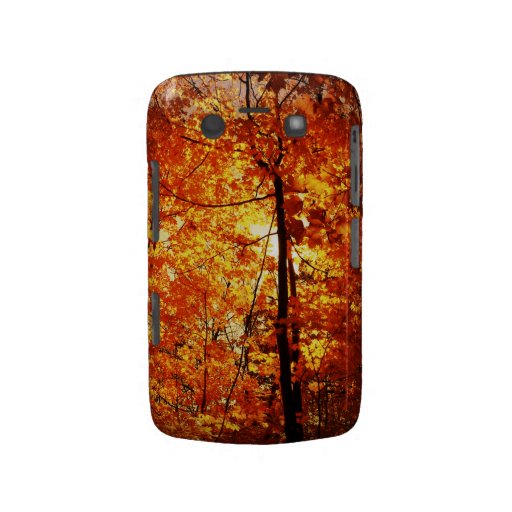 Fall Trees Blackberry Bold Case