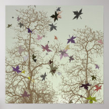 Fall Trees Posters