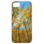 Fall Trees Yellow Leaves iPhone 5 Case