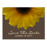 Fall Wedding Sunflower Save The Date Postcard