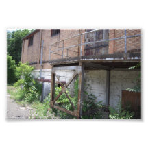 fallen fairgrounds livestock photo art