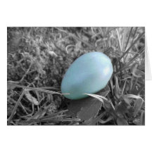 Fallen from the nest cards