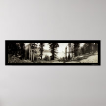 Fallen Leaf Lake Photo 1906 Posters