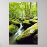 Falls #1 print