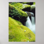 Falls #2 poster