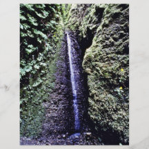 Falls, Fern Canyon, Prairie Creek Personalized Flyer