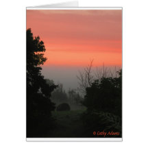 FALLS IN THE AIR GREETING CARD