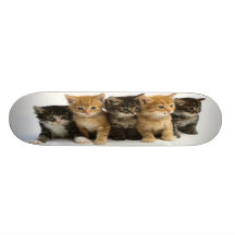 Family Kitties Skateboard