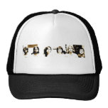 Family of the Year hat