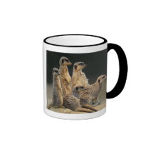 Family Portrait Mug