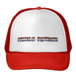 family reunion text red white blue with stars mesh hat