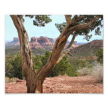 Famous Sedona Photograph