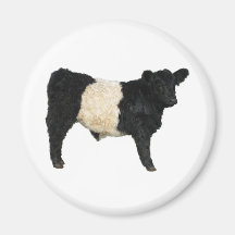 Fancy an Oreo? Belted Galloway Cow Fridge Magnets