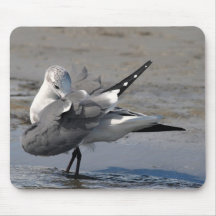 Fancy Gull Mousepads