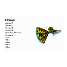 Fancy Male Guppy Profile Card Business Card Templates