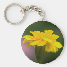 fantasies in yellow key chain