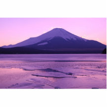 Fantastic Fuji Photo Sculptures