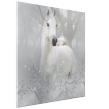 Fantasy Horse Wraped Canvas 24x24" Gallery Wrapped Canvas
