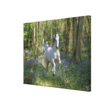 Fantasy Horses: Bluebell Wood Canvas Prints